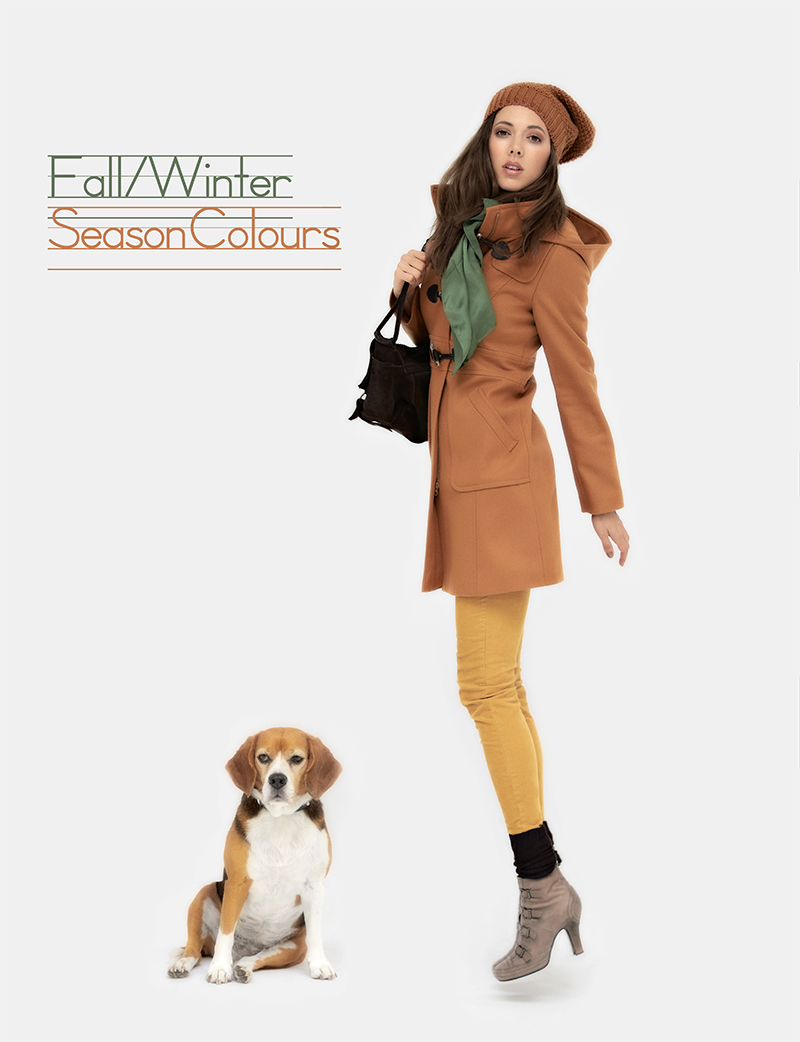fashion 33